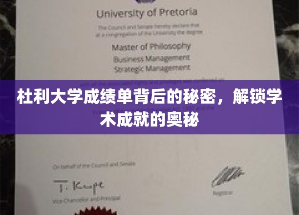 杜利大学成绩单背后的秘密，解锁学术成就的奥秘