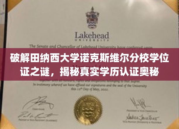 探索田纳西大学诺克斯维尔分校学位证背后的奥秘，揭秘真实的学历认证之道