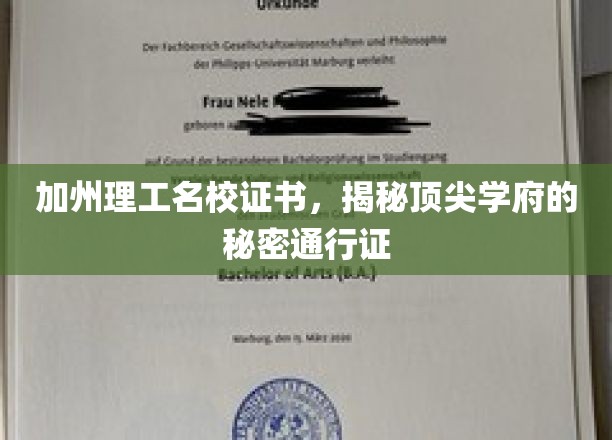 加州理工名校证书，揭秘顶尖学府的秘密通行证