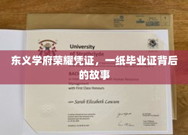 东义学府荣耀凭证，一纸毕业证背后的故事