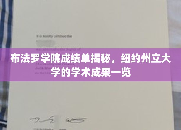 纽约州立之光，布法罗学院成绩单曝光，揭秘学术盛宴