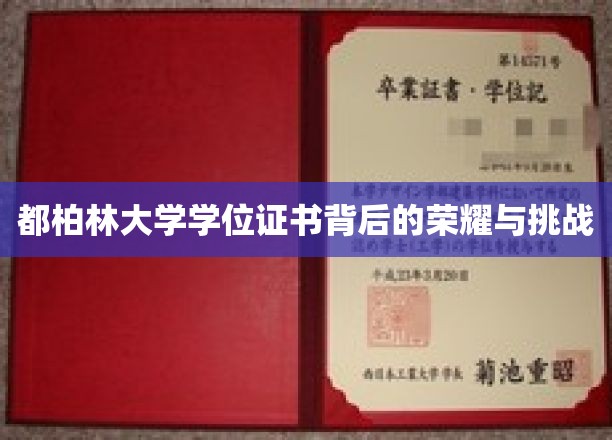 解码都柏林大学学位证书，荣耀之路的艰辛与辉煌