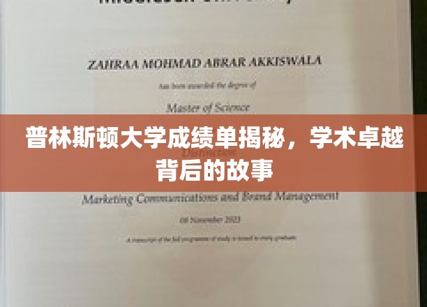 普林斯顿学霸养成记，揭秘学术殿堂的幕后秘籍