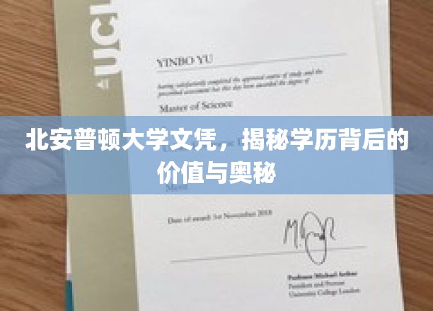 北安普顿大学文凭，探寻学历背后的价值与奥秘