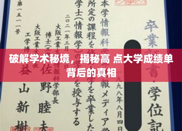 解码名校成绩单，探索顶尖学府背后的学术奥秘