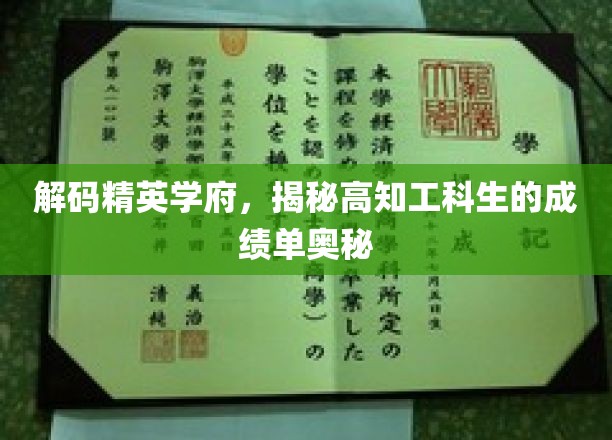 解锁高知工科精英的秘密档案，揭秘卓越成绩背后的智慧轨迹