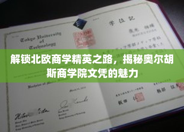 解锁北欧商学精英之路，揭秘奥尔胡斯商学院文凭的魅力