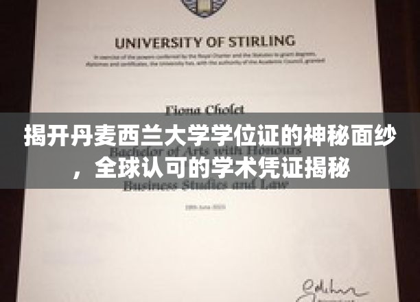 丹麦西兰大学学位证背后的全球通行证，揭秘国际认可的学术通行证