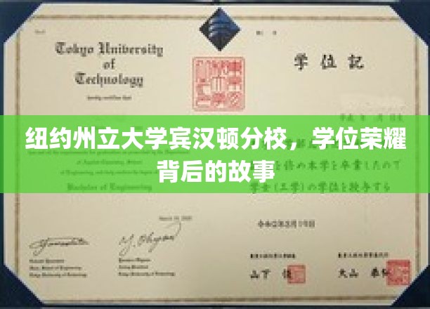 纽约州立大学宾汉顿分校，学位荣耀背后的故事
