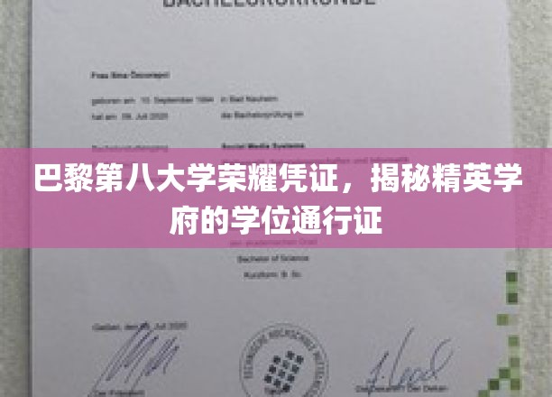 巴黎第八大学荣耀凭证，揭秘精英学府的学位通行证