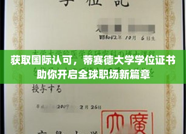国际通行证在手，蒂赛德学位成就全球职场梦想起飞