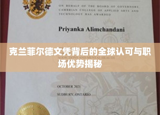 解码克兰菲尔德，国际职场精英的黄金文凭密码