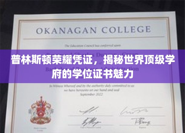 普林斯顿荣耀凭证，揭秘世界顶级学府的学位证书魅力
