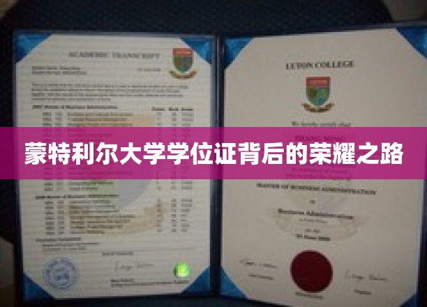 蒙特利尔大学学位荣耀，揭秘学子奋斗历程