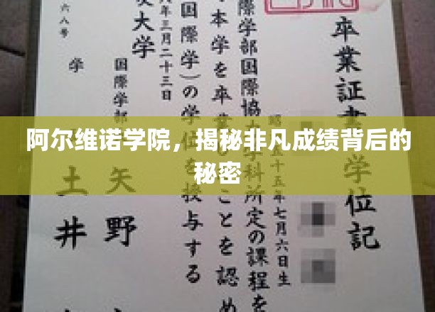 探寻阿尔维诺学院卓越成绩背后的神秘力量