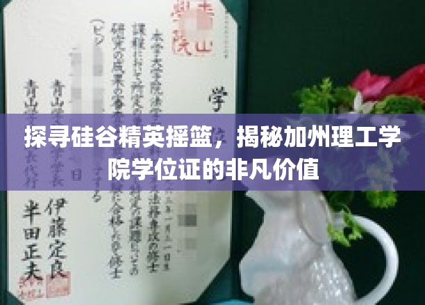 解码硅谷精英之路，加州理工学院学位证的黄金钥匙