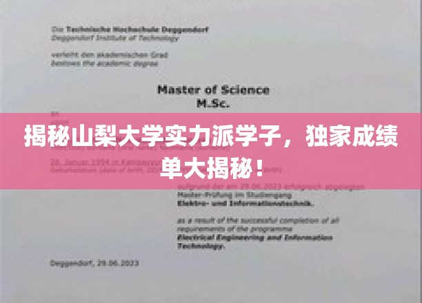 揭秘山梨大学实力派学子，独家成绩单大揭秘！