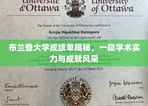 布兰登大学成绩单揭秘，一窥学术实力与成就风采