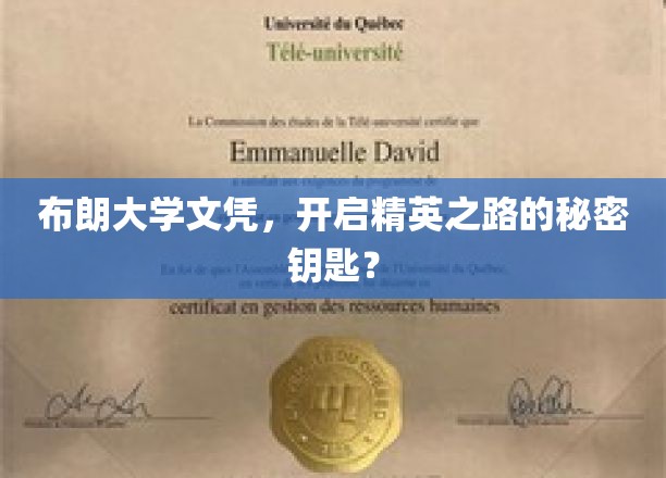 布朗大学文凭，解锁精英殿堂的神秘钥匙