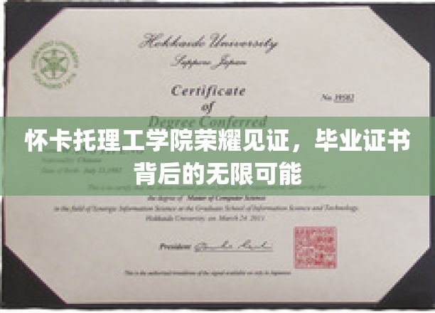 怀卡托荣耀毕业，证书开启无限未来之门