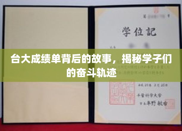 台大成绩单背后的故事，揭秘学子们的奋斗轨迹