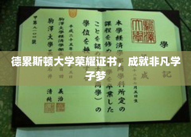 德累斯顿荣耀见证，学子非凡成就之旅