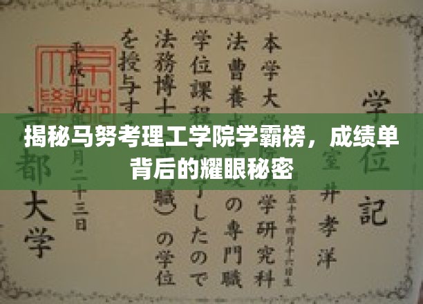 马努考理工学院学霸风云录，揭秘那些耀眼成绩背后的独家智慧
