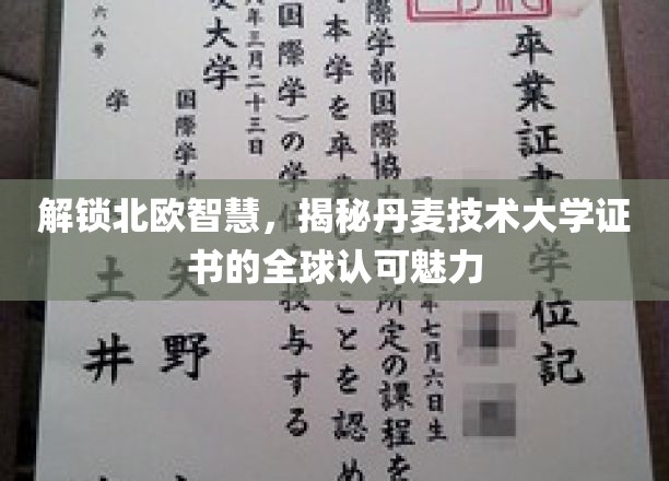 解锁北欧智慧，探索丹麦技术大学证书的全球认可魅力