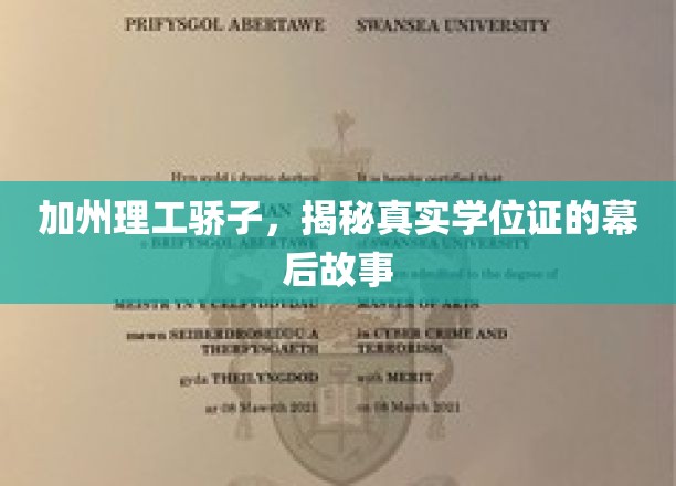 加州理工精英揭秘，学位证背后的不为人知传奇