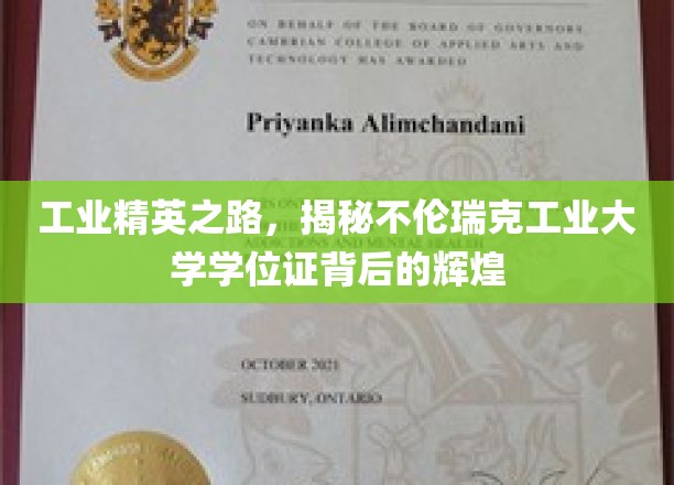 不伦瑞克工业大学学位证，解码工业精英的卓越足迹