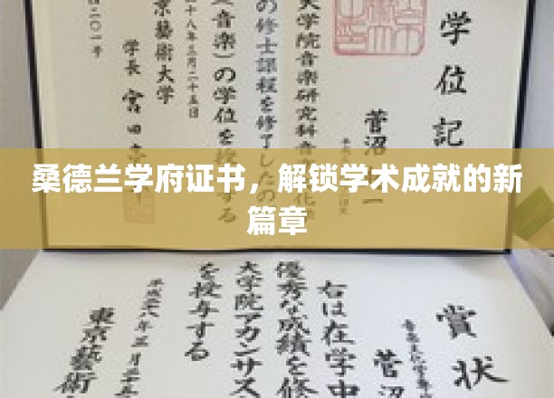 桑德兰学府证书，开启学术成就新篇章