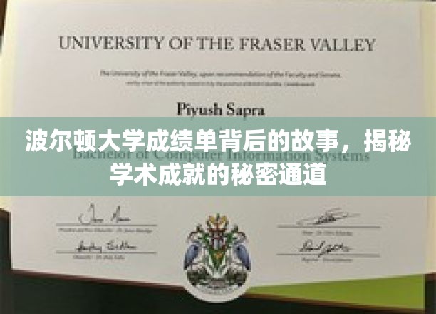 波尔顿大学成绩单背后的故事，揭开学术成就的秘密通道