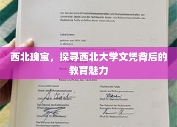丝绸之路上的知识瑰宝，西北大学文凭的教育之光
