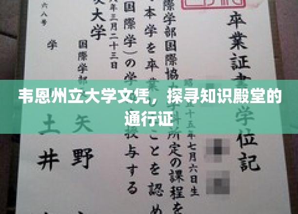 韦恩州立大学文凭，通往知识殿堂的通行证