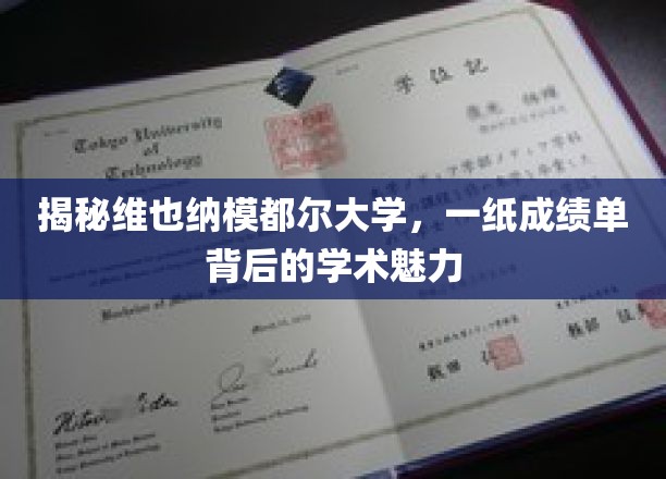 探寻维也纳模都尔大学，成绩单背后的学术风采