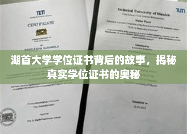 湖首大学学位证书探寻记，一纸文凭背后的传奇与真相