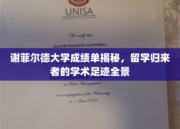 留学归国者眼中的谢菲尔德大学，揭秘成绩单背后的学术轨迹