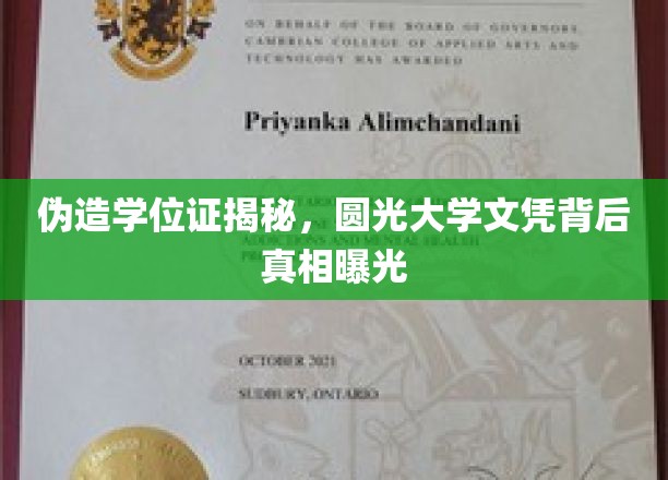 伪造学位证揭秘，圆光大学文凭背后真相曝光