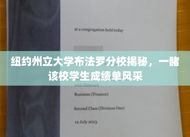 纽约州大布法罗分校，揭开学生成绩单的神秘面纱