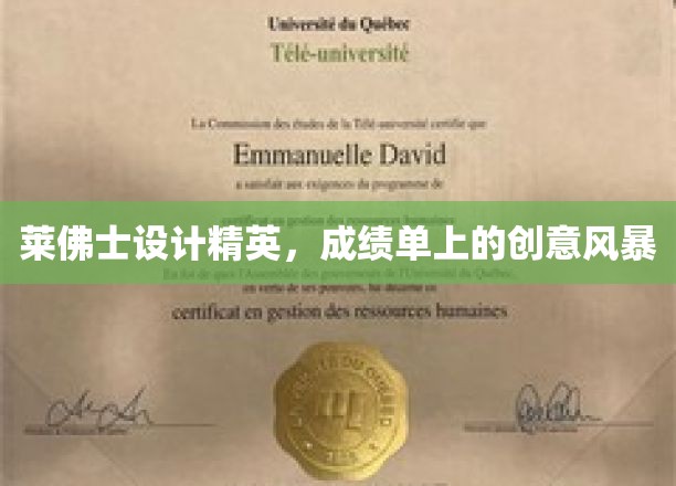 莱佛士设计精英，成绩单上的创意风暴