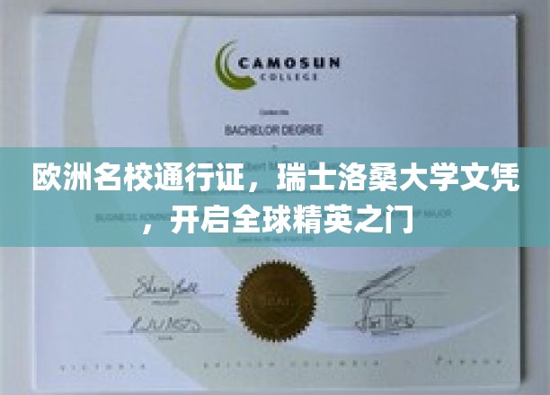 跨国精英通行证，瑞士洛桑大学文凭，解锁全球顶尖教育殿堂