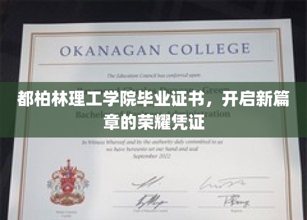 都柏林理工学院荣耀启航，毕业证书见证未来征程
