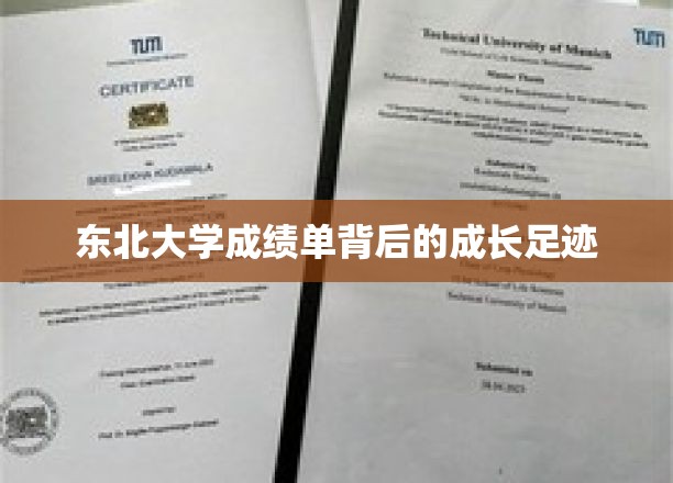 揭秘东北大学学子蜕变之路，成绩单背后的青春印记