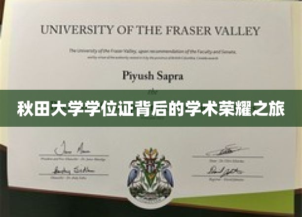 秋田大学学位证，探寻荣耀背后的学术传奇之路