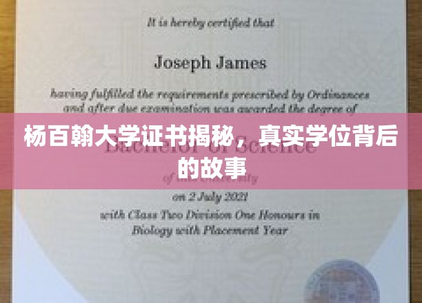 杨百翰大学学位探秘，揭开真实学位背后的传奇故事