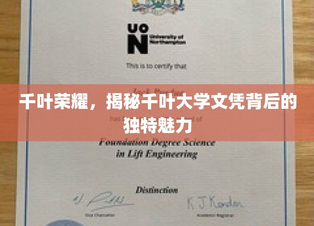 千叶大学文凭，探索其独领风骚的教育魅力