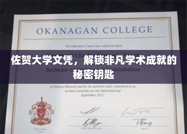 佐贺大学文凭，开启非凡学术成就的神秘钥匙
