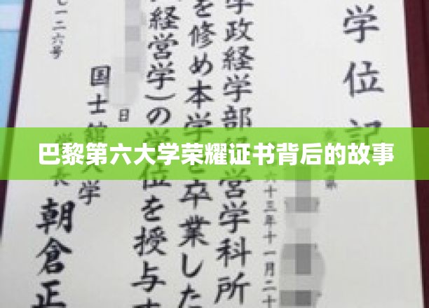 巴黎第六大学荣耀证书背后的故事