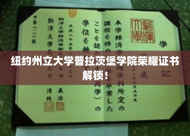 解锁荣耀，纽约州立大学普拉茨堡学院独家荣誉证书大揭秘