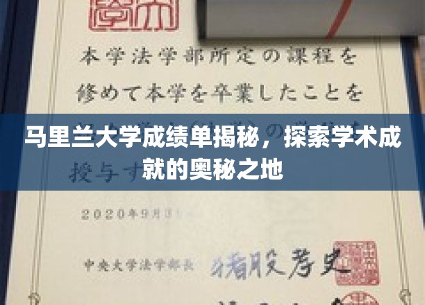 马里兰大学学术秘境，一窥成绩单背后的辉煌篇章